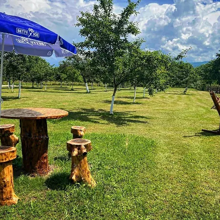 Sun Garden And Pool Campsite Cimpani